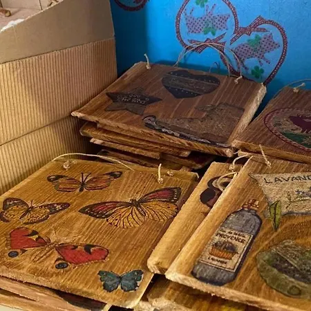 Kuca Zanetta Sa Bazenom Villa