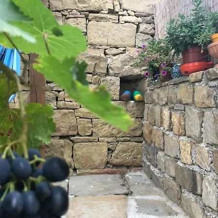 Kuca Zanetta Sa Bazenom Villa Buzet