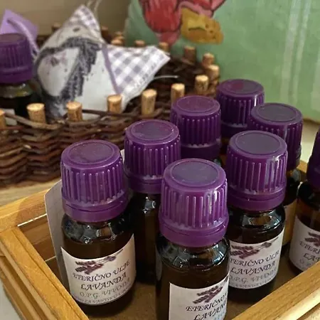 Kuca Zanetta Sa Bazenom