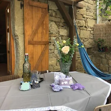 Kuca Zanetta Sa Bazenom Buzet