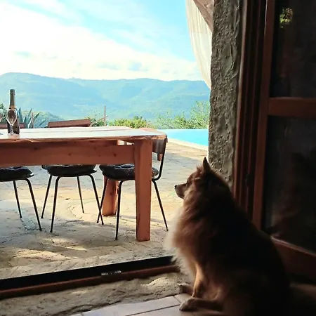 Kuca Zanetta Sa Bazenom Villa