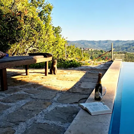 Kuca Zanetta Sa Bazenom Villa