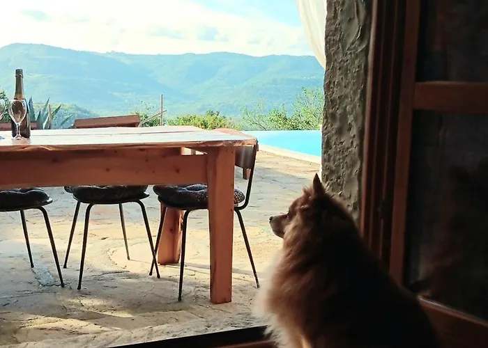 Kuca Zanetta Sa Bazenom Villa